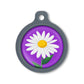 Blucky Margarita Purple Dog Tag large
