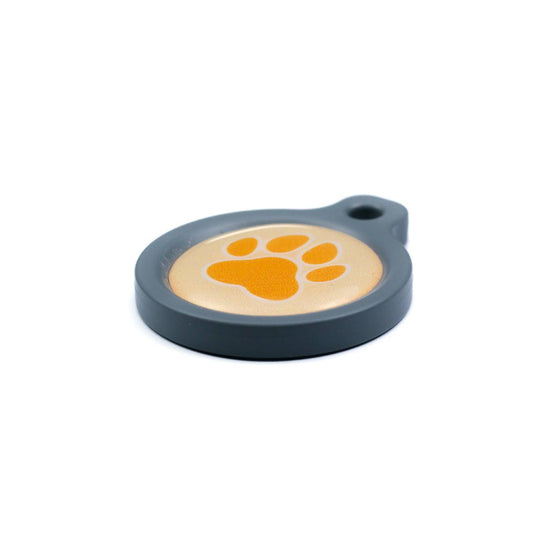 Blucky Wild Paw Pastel Orange Dog Tag medium