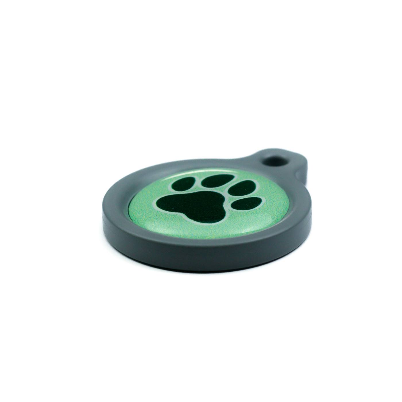 Blucky Wild Paw Pastel Green Dog Tag medium