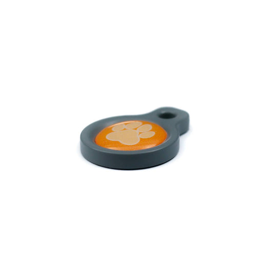 Blucky Wild Paw Orange Dog Tag small
